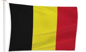 De evolutie van de krachtsverhoudingen tussen de belangrijkste politieke krachten en families in de belgische kamer van volksvertegenwoordigers. Vlag Belgie Kopen Online Uw Belgische Vlag Bestellen Vlaggen Unie
