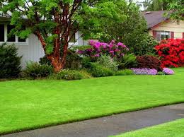 Stopwaste earns green business innovator certification Lawn Care 5 Ways To Wreck Your Yard 6 Steps Toward Great Grass Daily Press