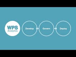 Ibm Wps Analytics