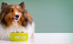 Good Looking Website Must Go To A Pet Supplies Plus Store To Pick Up Nutri Vet Good Good Nutrivet Pet Pet Supplies Plus Pet Supplies Pets