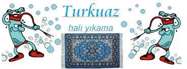 Uzun Omurlu Habis Ihmal Turkuaz Hali Yikama Ochjo Com
