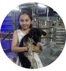 All our puppies are come under proper dewormed and vet checked. Hostel For Dogs Hostel For Dogs In Chennai Neonatal For Dogs Care In Chennai Dog Care Chennai Pet Care Chennai Dog House Chennai Pet Kennel Chennai Pet Care Service In Chennai Dog