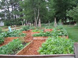 The next time a local tree trimming company is in your area, they. Cedar Chips Garden Paths Garden Paths Wood Chips Landscaping Garden Plots