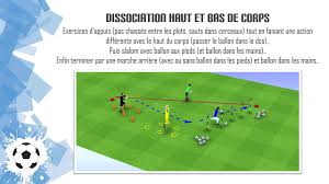 30 Exercices Physiques Avec Ballon Echauffement Vitesse Endurance Force Coordination Exercice Physique Exercice Echauffement