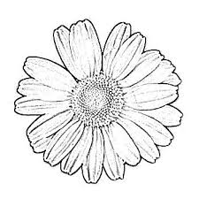Black And White Daisy Flower Clipart Daisy Flower Sketch Flower Sketch Images Flower Sketches Daisy Drawing