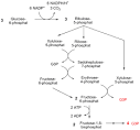 Pentosephosphatweg 