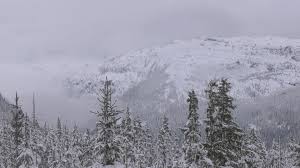 Avalanche Risk High As Winter Officially Arrives In B C Ctv News