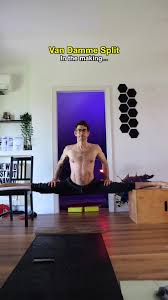 Image result for Van Damme split