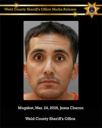 WCSO Detectives Charge Man with 25 Counts of Sexual Assault on a ...