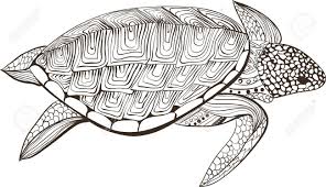 Turtle In Zentangle Zenart Doodle Style Isolated On White Background Royalty Free Cliparts Vectors And Stock Illustration Image 61925734 The user can write turtle programs that draw beautiful shapes and learn to program at the. turtle in zentangle zenart doodle style isolated on white background