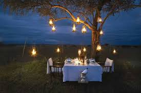 Cena Romantica Fiesta En El Jardin Iluminacion De Boda Fiestas En Jardin