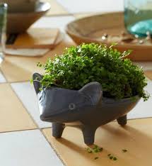 See more ideas about ceramic animals, clay animals, pottery animals. Decorative Herb Planters Eatwell101