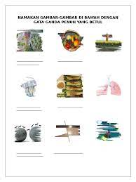 Maybe you would like to learn more about one of these? Latihan Kata Ganda Penuh