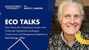 Understanding and Protecting Squash Bees in California