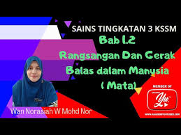 Gerak balas terhadap rangsangan organ deria kepentingan gerak balas tabiat mengganggu gerak balas. Download Kbat Rangsangan Dan Gerak Balas Sains Tingkatan 3 Kssm Mp3 Mp4 3gp Flv Download Lagu Mp3 Gratis