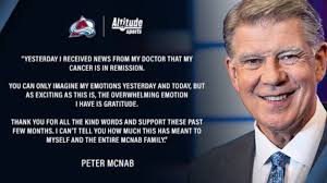 Altitude analyst Peter McNab's cancer in remission, network announces
