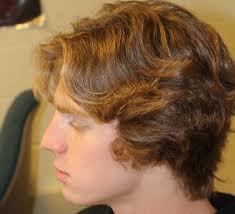 Students created pest control company Seminars compete to help community