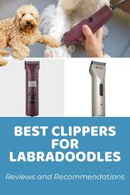 This shopping feature will continue to load items when the enter key is pressed. Best Clippers For Labradoodles Reviews And Recommendations