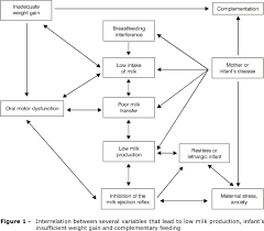 Common Problems During Lactation And Their Management