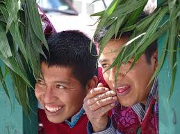 Centro de Meméria e Pesquisa Histórica