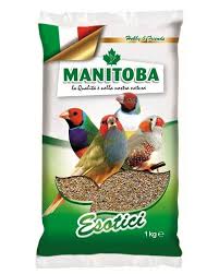 All4pets Mixture Of Tropical Finches Esotici Food 1kg Online Pet Store Food Tropical