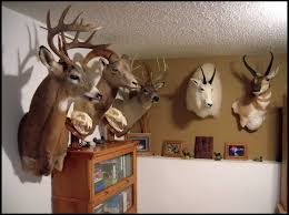 Everything from grand scenic wall murals, to breathtaking mountain scapes, fine woodwork, and much more. Ideas For Trophy Room Wall Material