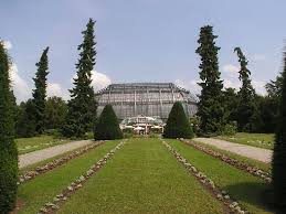 Founded in the 17th century as a royal garden for flowers, medicinal plants, vegetables, and hops. Botanischer Garten Berlin Top Things To Do In Berlin Germany Abby The Traveler Www Abbythetraveler Com