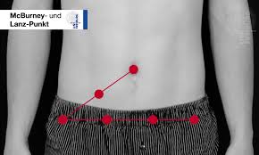 Modul 5 Untersuchung Des Abdomens U Kurs