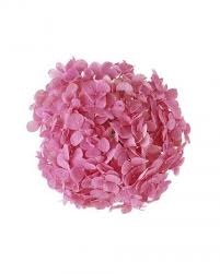Floriography allowed for a tangible exchange of these emotions. Hydrangea Wedding Flower Arrangements Hydrangea Wedding Flower Arrangements Wedding Flower Arrangements Flower Meanings