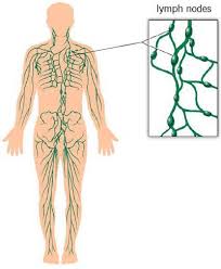 Lymphedema Lymphedema Lymph Nodes Lymphedema Awareness