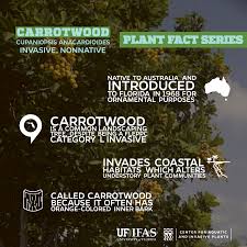 We did not find results for: Center For Aquatic And Invasive Plants University Of Florida Ifas