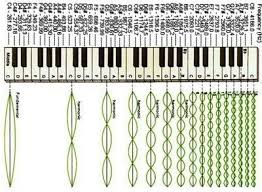 Music Education Numbered Notes Piano Stickers Because