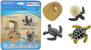 Safari 662316 Life Cycle Of A Green Sea Turtle Figuren Amazon Nl Speelgoed Spellen