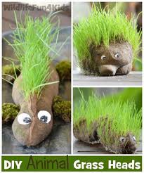 Growing Grass Pets Think Chia Diy To Bring Some Green To Your World Sulia Article With Additional Link To Grass Chia Pet Gardening For Kids Crafts