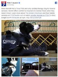 Check other contact info as well, such as: Funeral Home Now Has A Comfort Dog To Assist The Grieving Usa Service Dog Registration