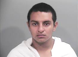 Stories by Scarlet Sims