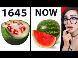 Scary videos and creepy stuff caught on tape. Food That Used To Look Different Youtube That Look American Video Sssniperwolf