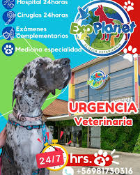 EXOPLANET Urgencias Veterinaria 24 Horas