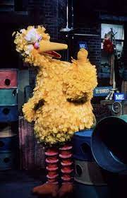 23 Questions Sesame Street Has Left Unanswered Sesame Street Muppets Sesame Street Big Bird Sesame Street