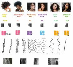 The Andre Walker System Hair Typing Chart The Salon And