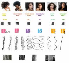 the andre walker system hair typing chart the salon and