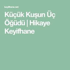 Kucuk Kusun Uc Ogudu Hikaye Keyifhane