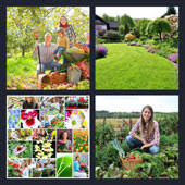 Please check and try again. 4 Pics 1 Word 6 Letters 4 Pics 1 Word Cheats 4 Pics 1 Word Answers