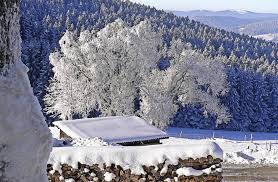 Here one more pic from frozen titisee the oposite side. Schonster Winter Bis Der Orkan Kam Titisee Neustadt Badische Zeitung