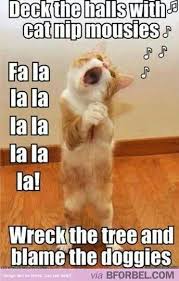 Lalala Funny Animal Jokes Funny Cat Pictures Funny Animal Pictures