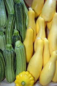 The process of growing summer squash usually begins with seeds since transplants don't usually do well when their roots are disturbed. Growing Summer Squash Planting Summer Squash Plants