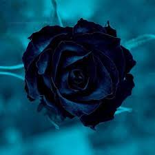 Dark Blue Rose Very Cool Photo Blog Tatuagens De Rosas Azuis Flores Azul Escuro Flor Rosa Preta