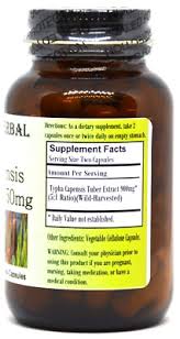 Image result for Typha capensis