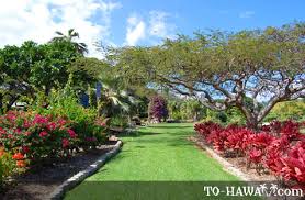 Hawaii is famous for its hibiscus. Queen Kapiolani Hibiscus And Rose Garden Oahu