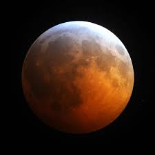 Image result for blood red moons 2010 pictures